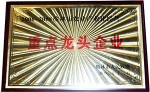 重點(diǎn)龍頭企業(yè)